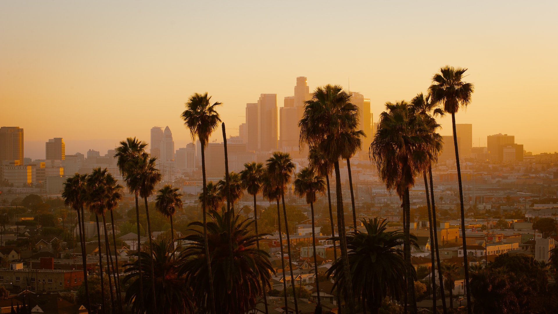 Los Angeles limousine service tour at sunset